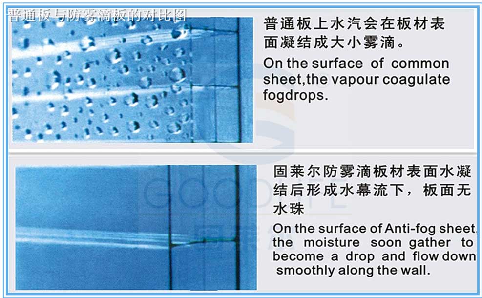 Vergleichstest: 8 mm Antitropf-Polycarbonatplatte verhindert Kondensatbildung vs. Standardplatte