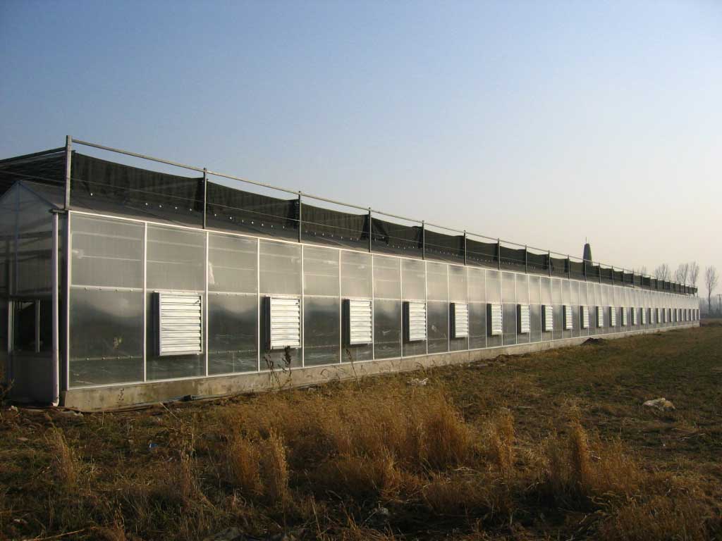 Peking Blumendorf Baihe – 80.000 m² Gewächshausprojekt mit transparenten 8 mm Polycarbonat-Doppelstegplatten