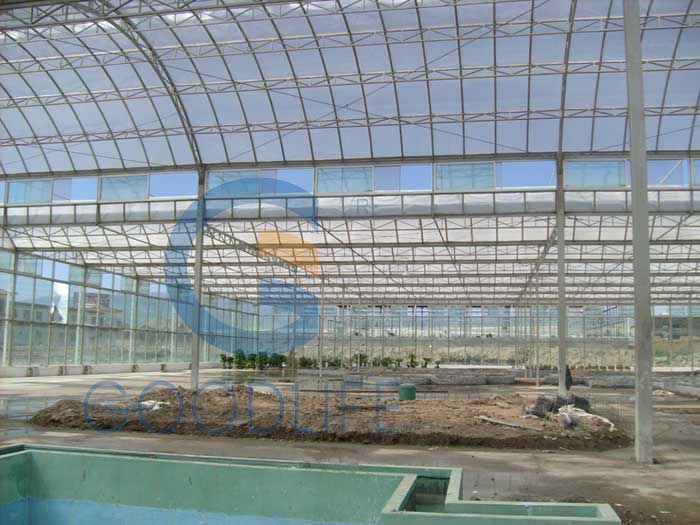 Gewächshaus-Innenansicht mit X-Struktur-Polycarbonat für optimiertes Pflanzenwachstum